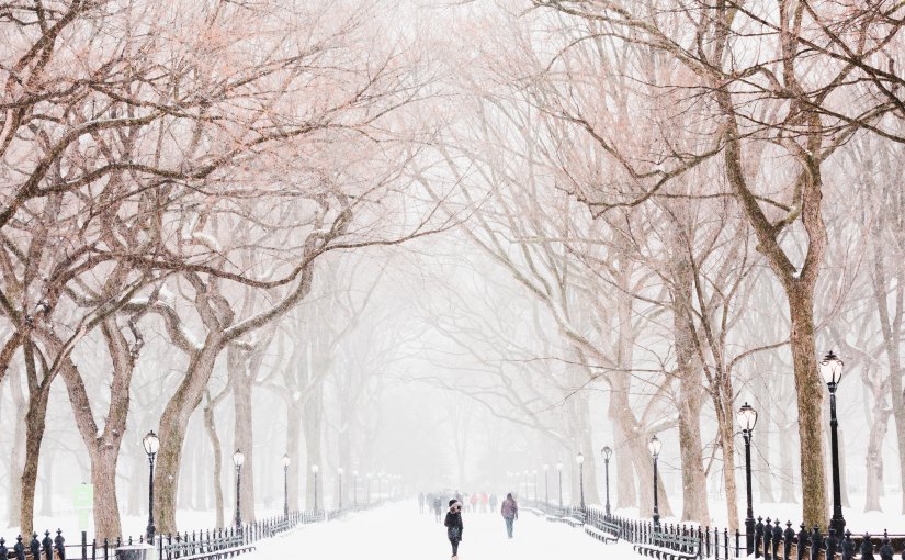 {re}image advent |&nbsp;12.1.17