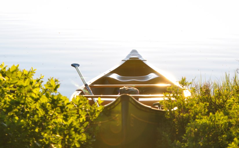 A public intention for&nbsp;2018