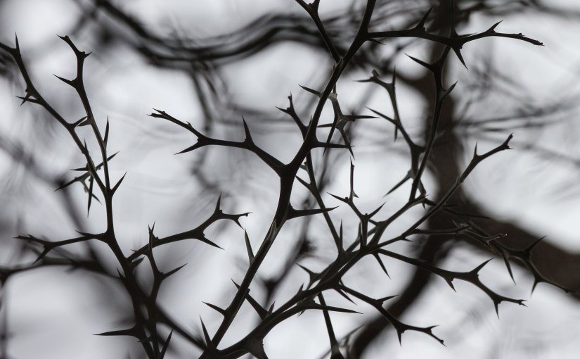 on rediscovering a life of&nbsp;mercy